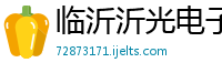 临沂沂光电子有限公司